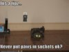 funny-pictures-electrical-socket-cat.jpg