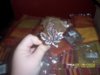 000_0077.jpg