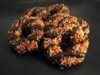 homemade samoas.jpg
