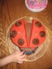 LadybugCake2 2006 SMALL.jpg