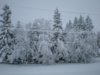 may snow.jpg