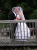 wedding 3.jpg