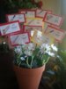 registryflowerpot1.jpg
