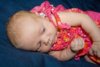 Evelyn Pink-1sm.jpg