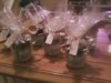 Seasoning_gifts.jpg