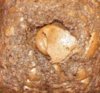 Mini Reese Cup Brownies.jpg