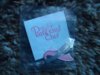 HWC Pin Whisk part of Ribbon.jpg