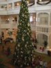 DSCN1385.jpg