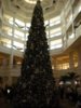 DSCN1389.jpg