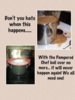 boil over no more2375877_n.jpg