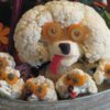 dogs cauliflower804704_n.jpg