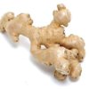 ginger.jpg