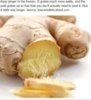 ginger in freezer.JPG