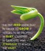 motivation536888_n.jpg
