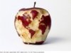 food art 4.jpg