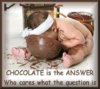 chocolate is the answer funny312158794_n.jpg