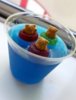 bears jello pool ind34128909646329936nORc01brc.jpg