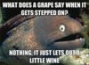 wine funny from quickmeme.com395e9e66.jpg