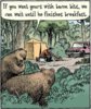 funny bears.jpg