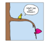 funny birds0809346_n.png