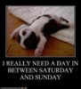 day between Sat and Sun funny57_n.jpg