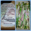 Bacon Aspargus wraps recipen.jpg