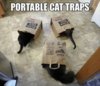 portable cat traps.jpg