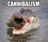 funny croc.jpg