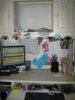 TestShots 114 (Large).jpg