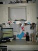 TestShots 113 (Large).jpg