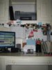 TestShots 130 (Large).jpg