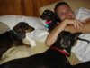 House-Land-Dogs 022 (Small).jpg