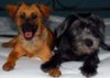 The Girls at Five Months v1 Adj 2.jpg