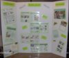 Tri Display Board 001.JPG