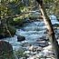 shannah_thelen@yahoo.com