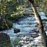shannah_thelen@yahoo.com