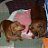 DoxieMom